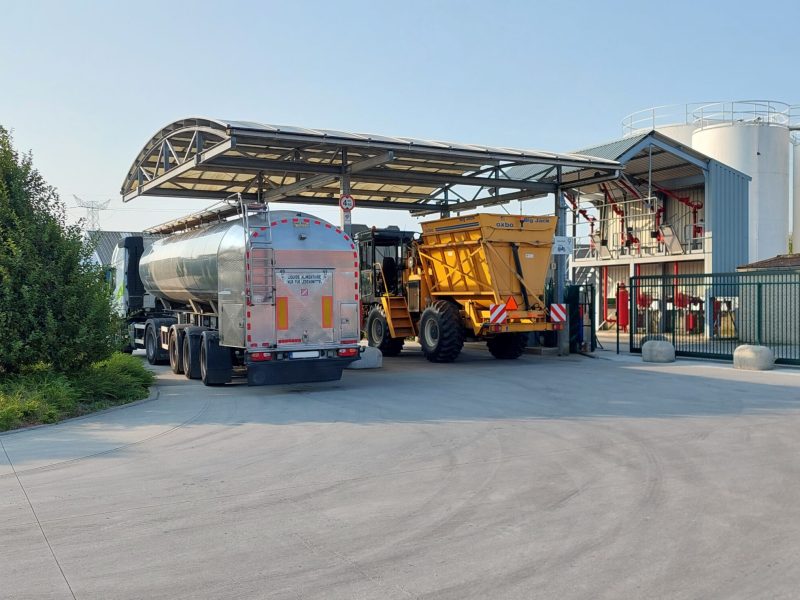 20250806_082808 klein